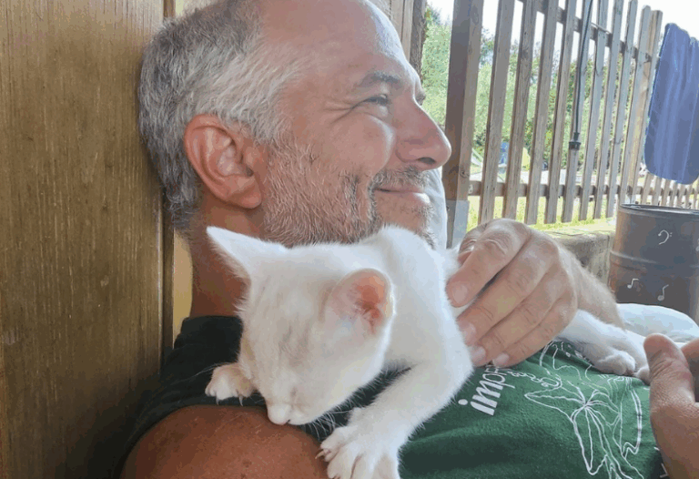 improcamp-chat